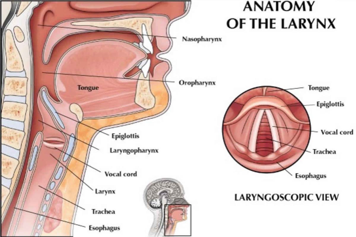 Thyroplasty